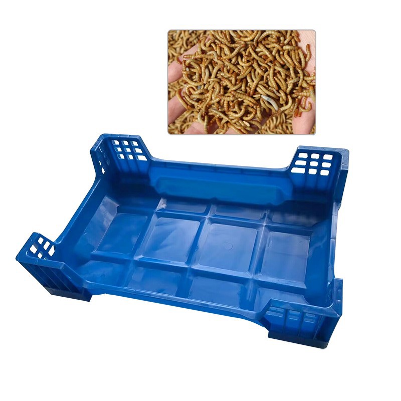 product-800-800