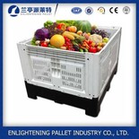 Fruktbruk plastpallekasse for landbruk