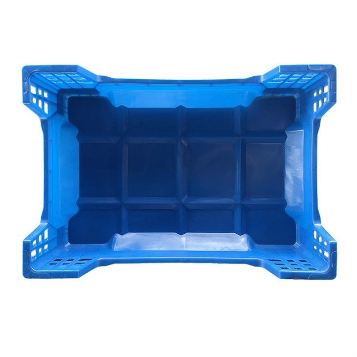 Black Soldier Fly Larvae Box Supplier factory