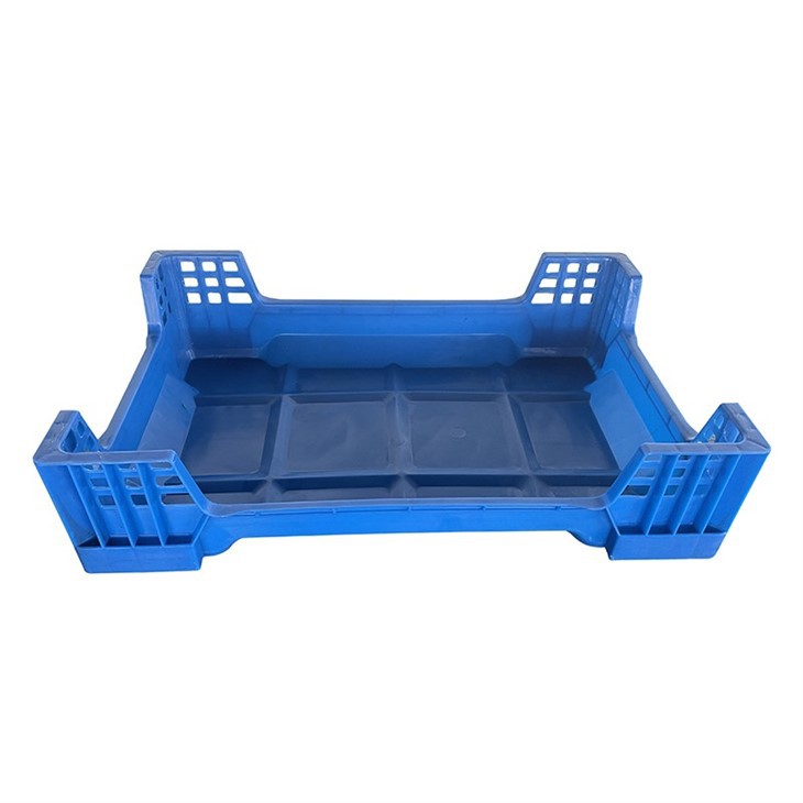 Black Soldier Fly Larvae Box Supplier manufacturer